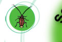 DISINFESTAZIONE